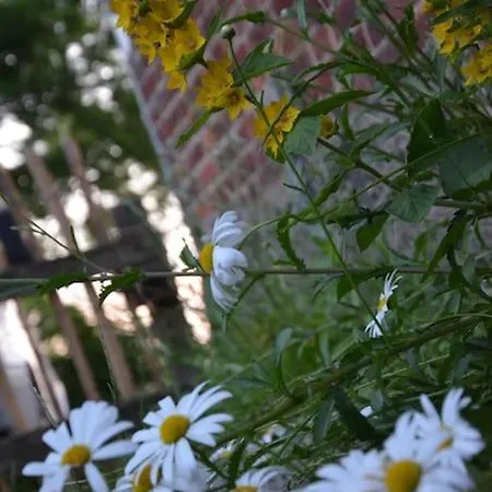 Hof Papenwohld - Naturpark, Gartensauna