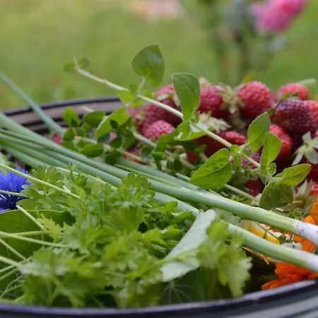 Hof Papenwohld - Naturpark, Gartensauna