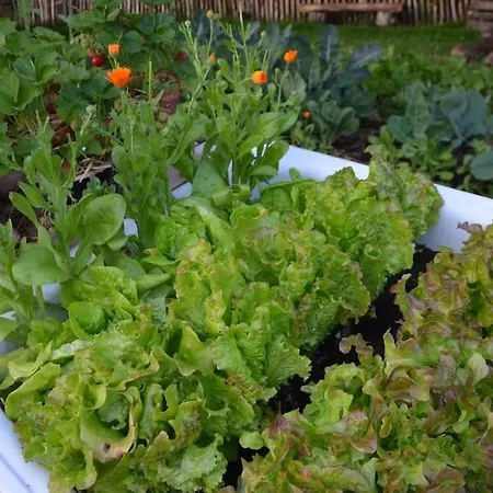 Hof Papenwohld - Naturpark, Gartensauna Casa de Férias *