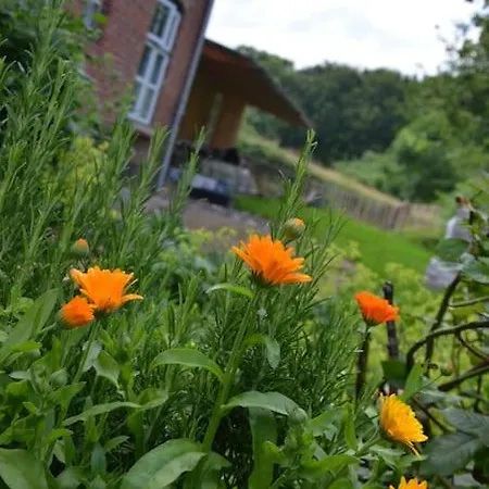 Hof Papenwohld - Naturpark, Gartensauna Holiday home